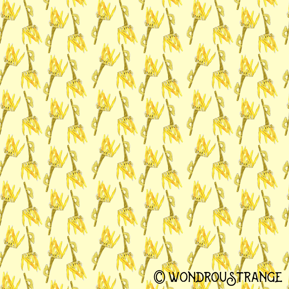 Flower pattern 2 display