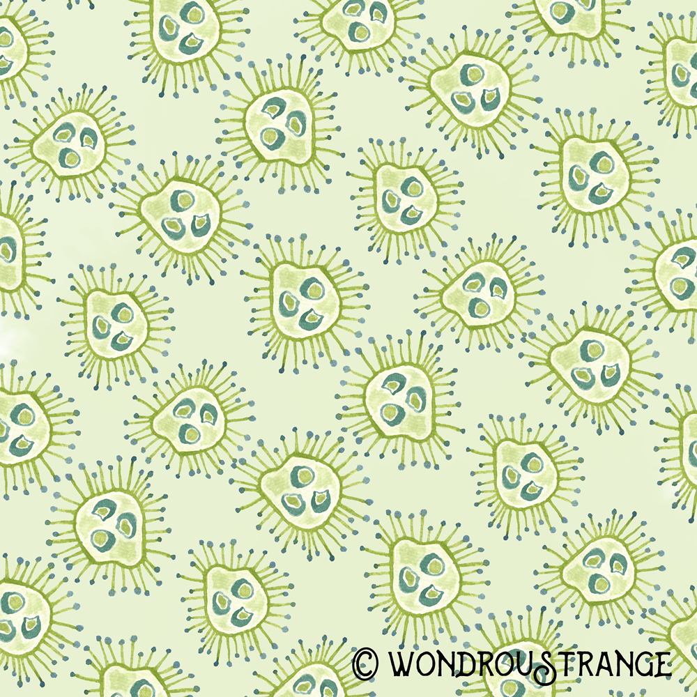 Green seed pod pattern Display