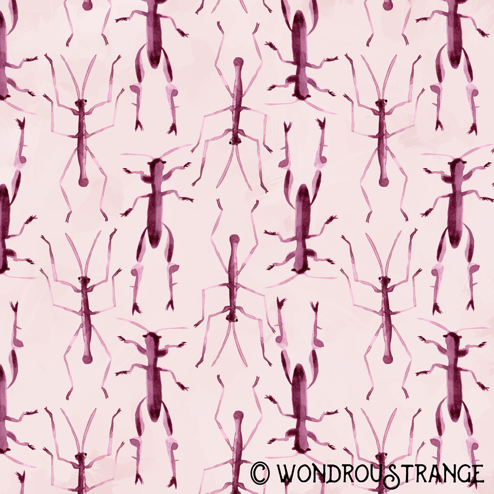 Magenta beetles 4 and 5 pattern display