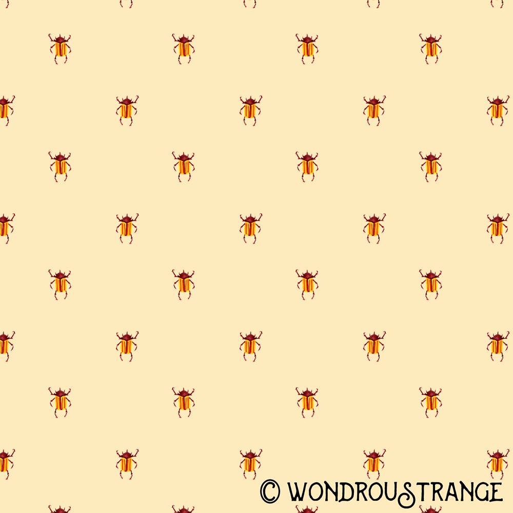 Red and yellow stripey beetle pattern display