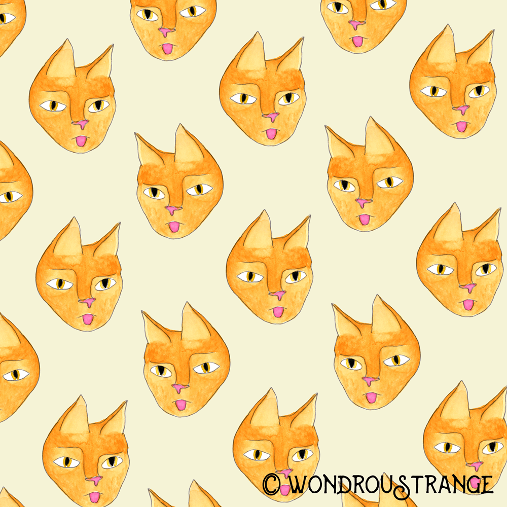 Sassy cat face pattern display