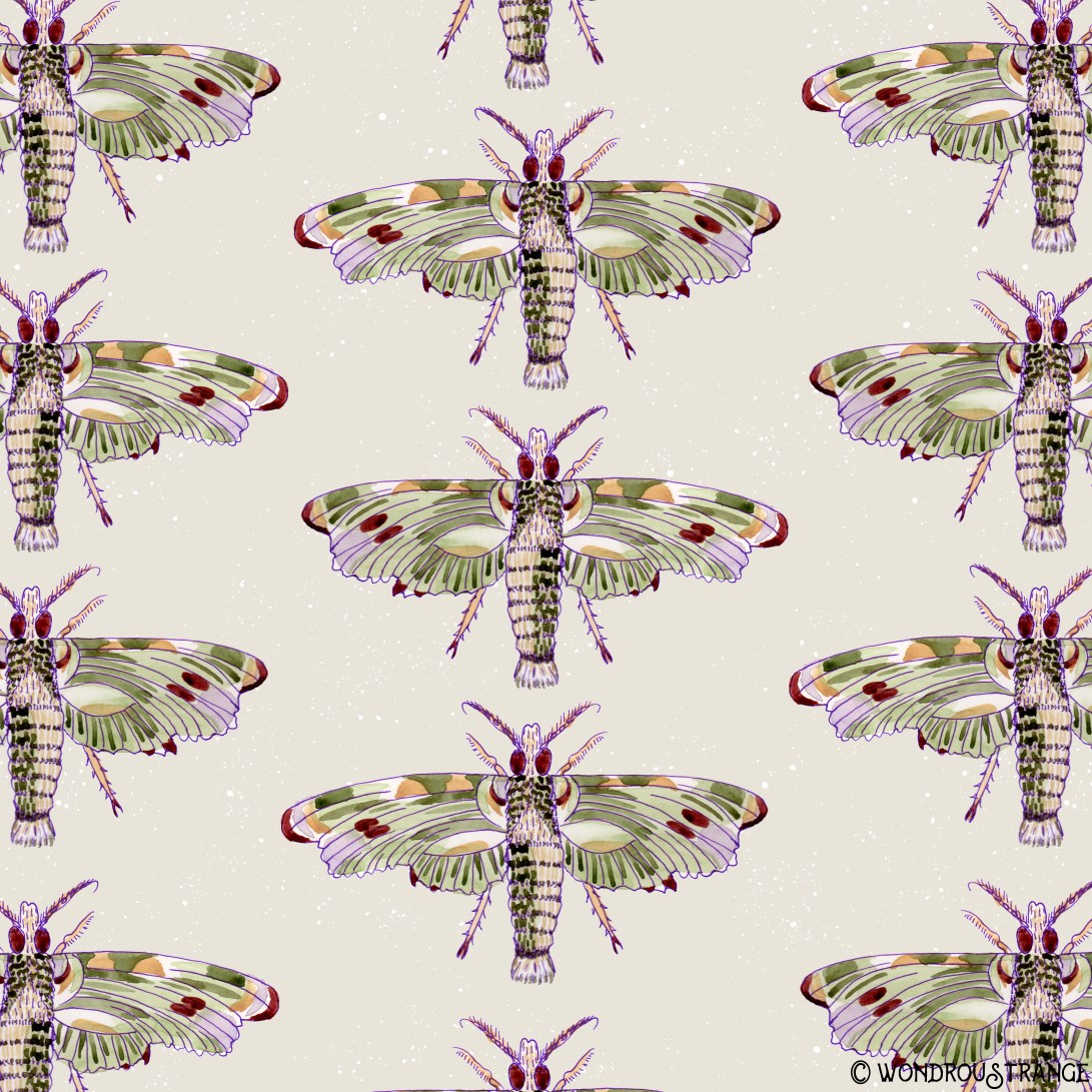 watercolor moth pattern1