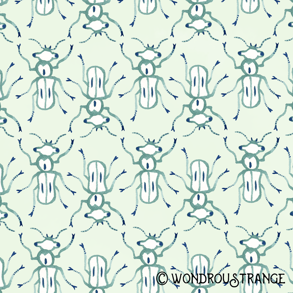 Beetle pattern display