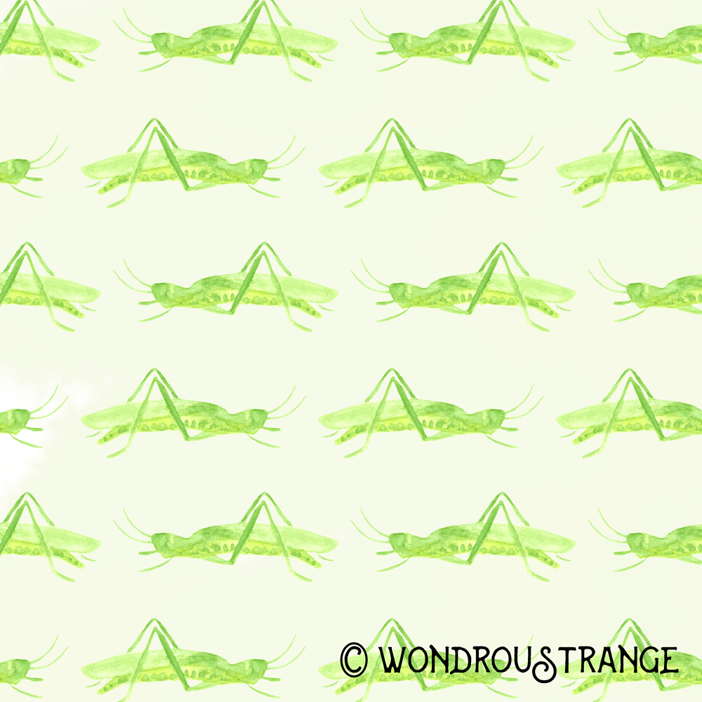 Grasshopper pattern display