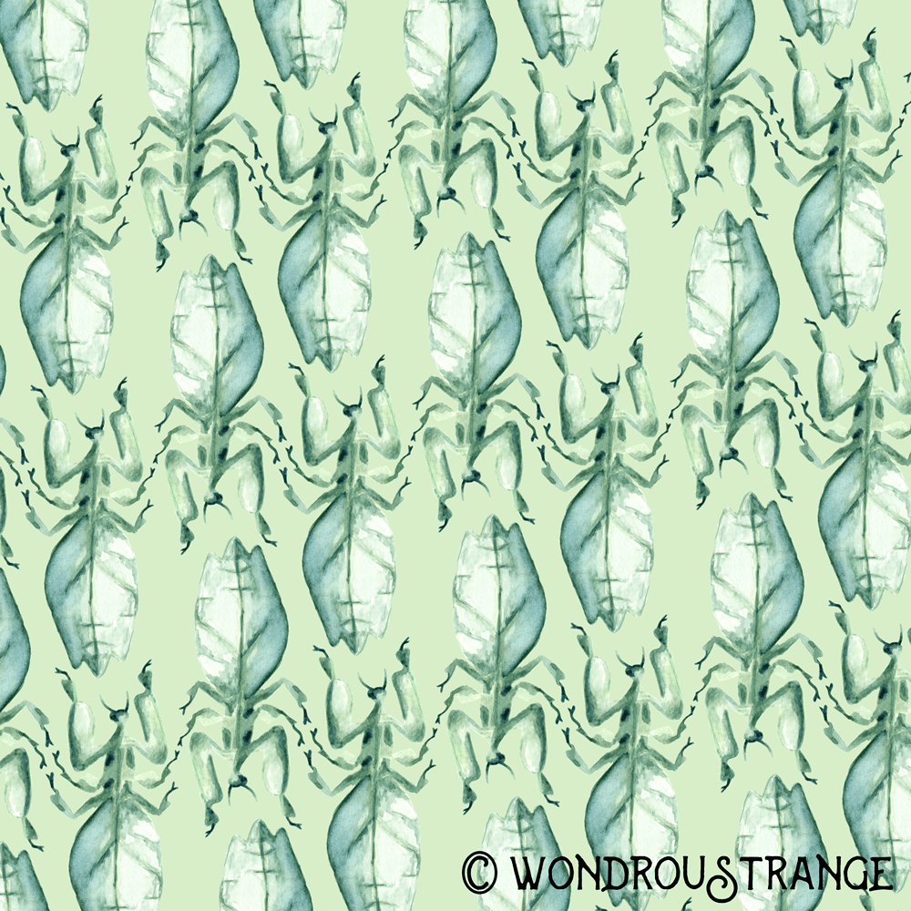 Leafy Praying Mantis Pattern Display