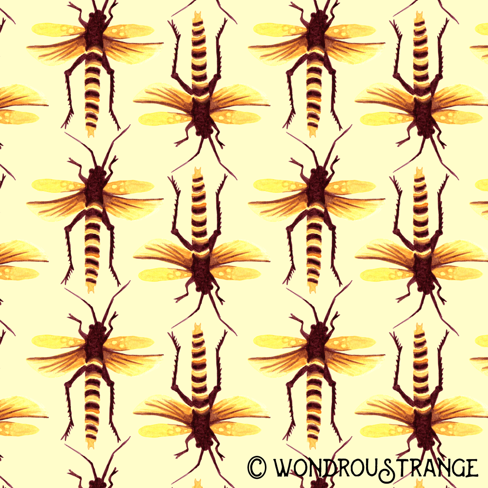 magenta and honey striped locust pattern display