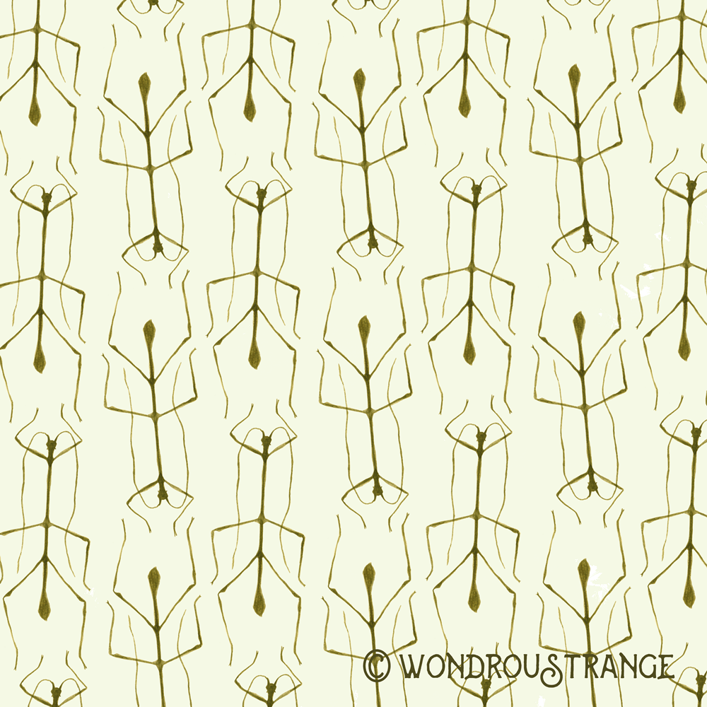Stick Bug Pattern Display