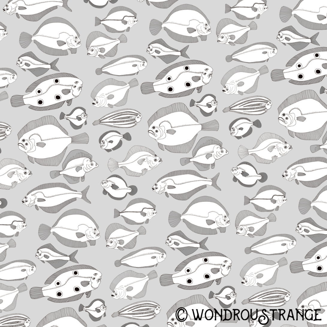 flounder pattern display