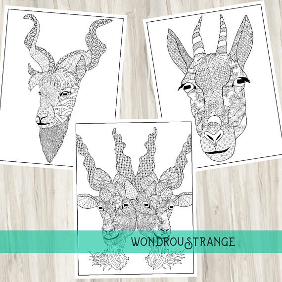 il_570xn-1301125728_70ws