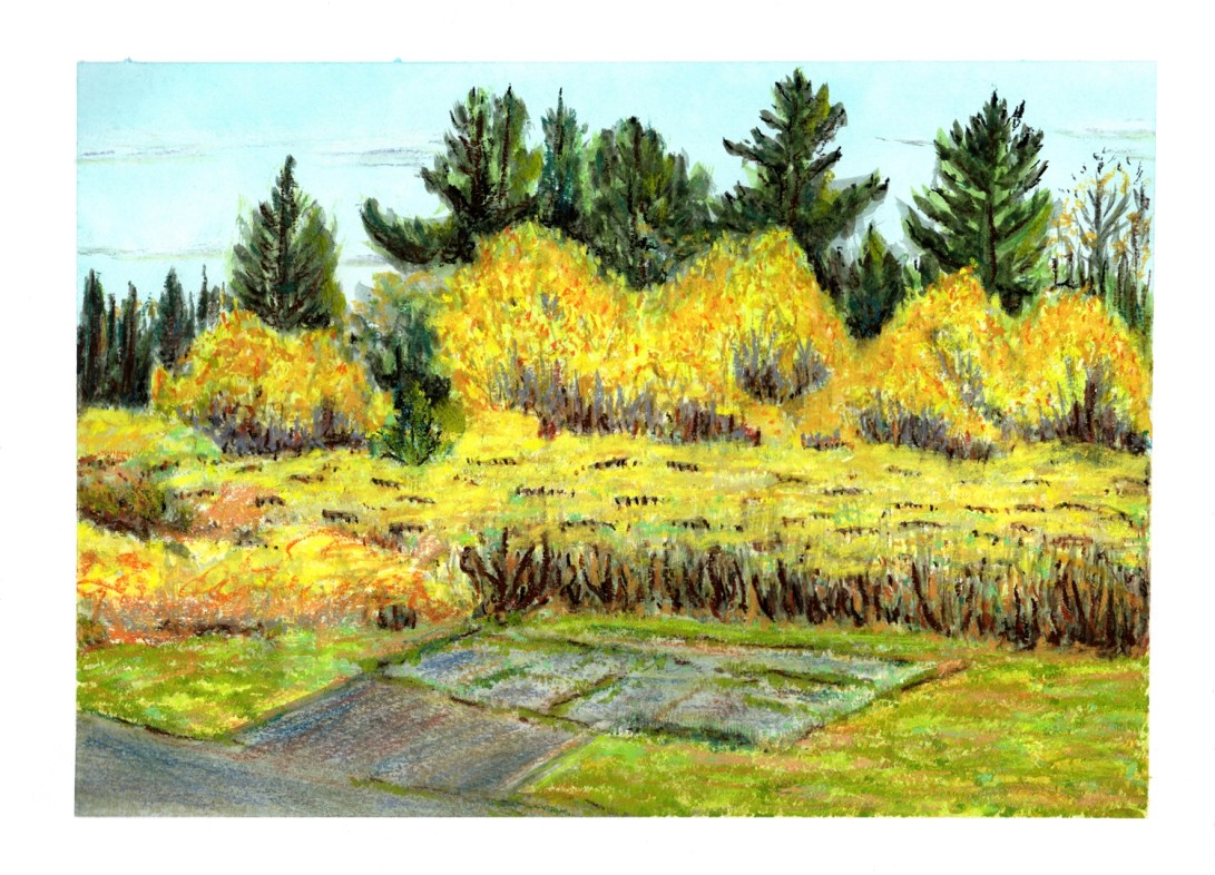 2017-10-18 landscape 2