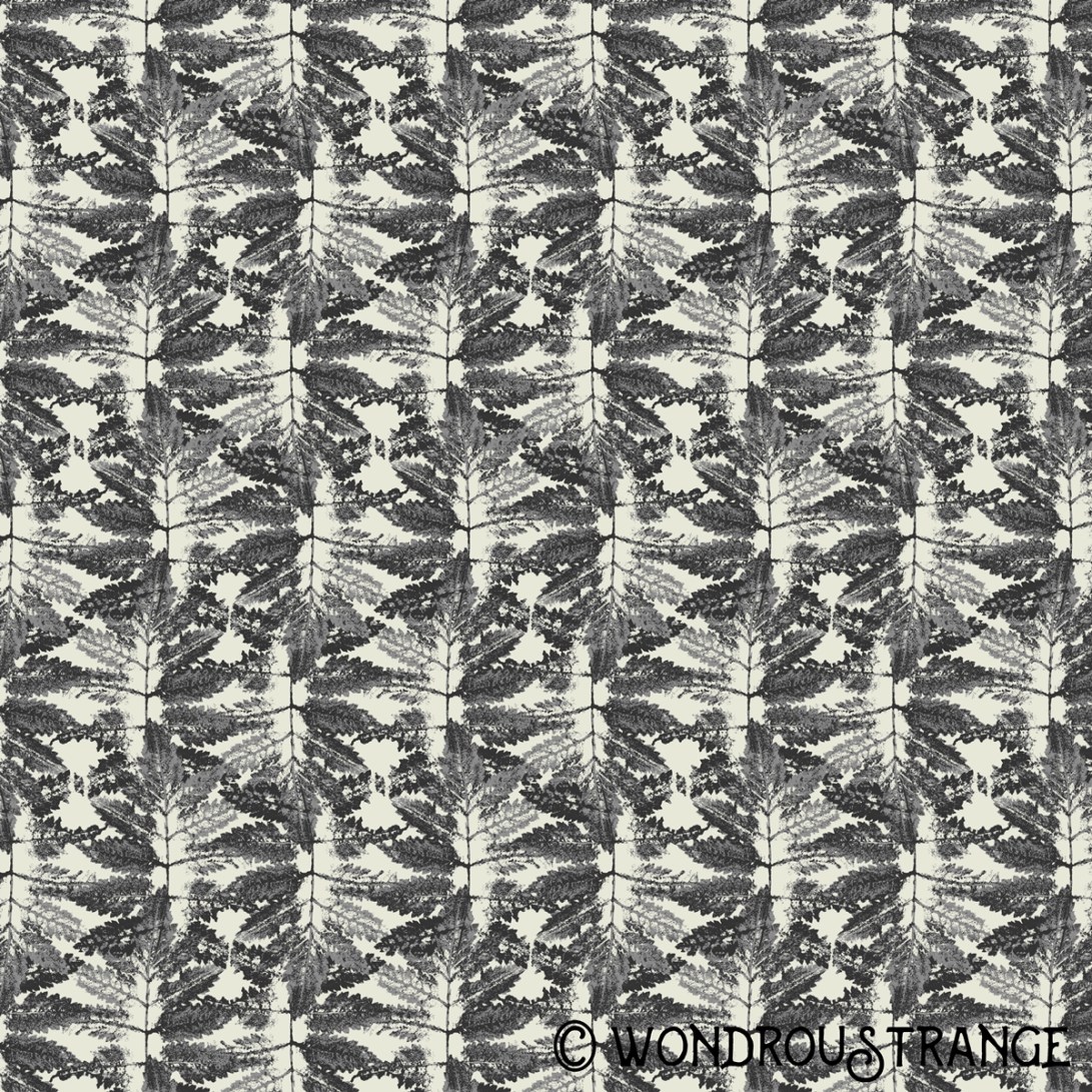 Fern Pattern Display