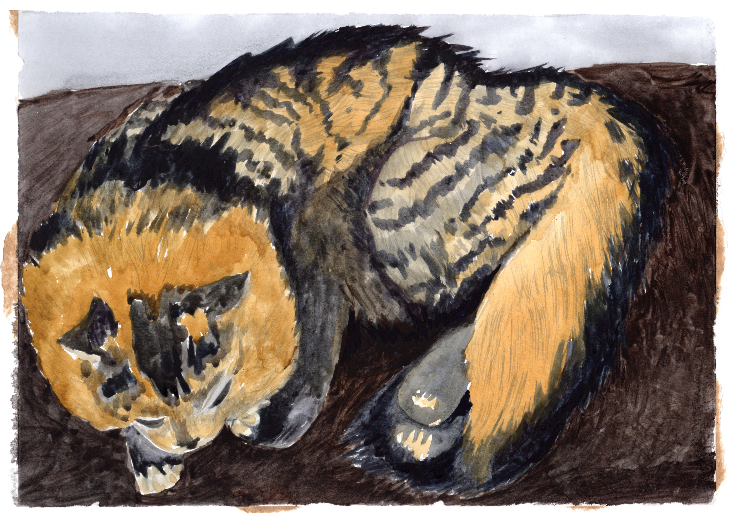 Mister portrait small 17-11-04.jpg