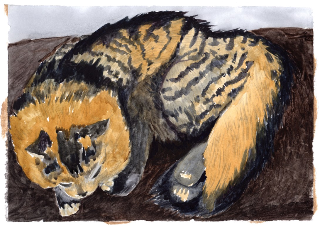 Mister portrait small 17-11-04.jpg