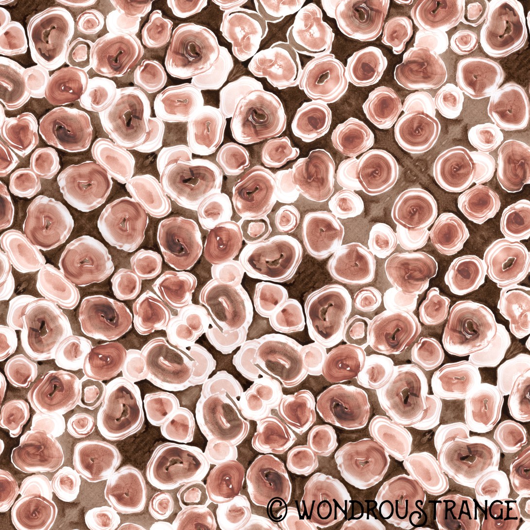 salmon and brown painted spots pattern display cc