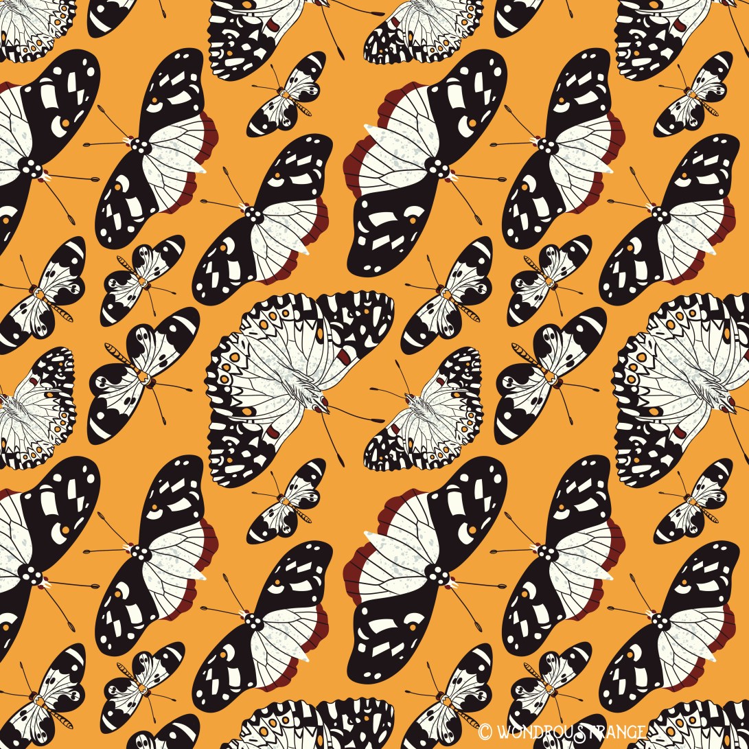 orange and black butterflies pattern display